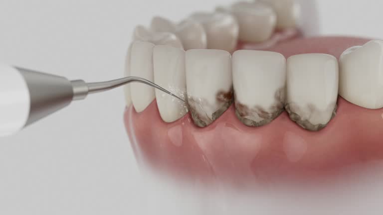 Reliable Emergency Dentist contractor in St. Mary's County County, MD by Dentist Open Now